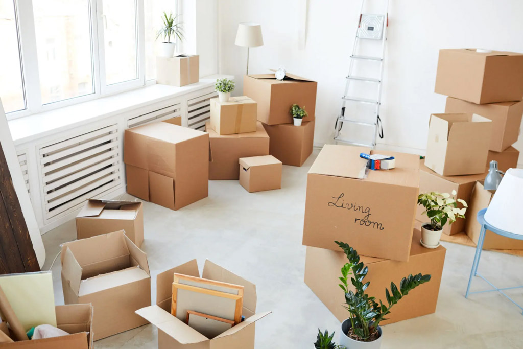move-in-move-out